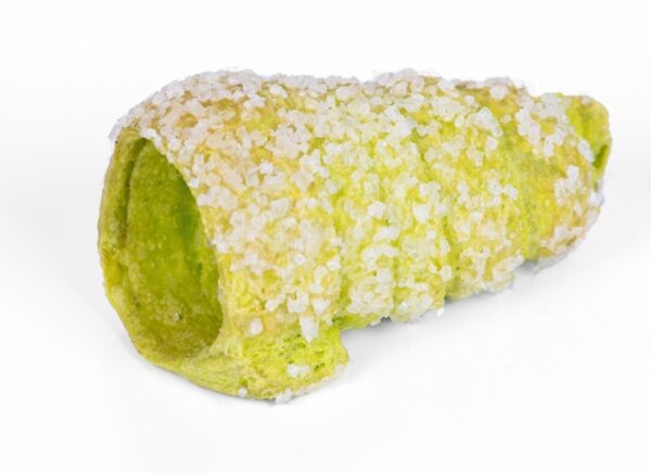 Cannoli Sfoglia Conici Grandi Pistacchio X100pcs
